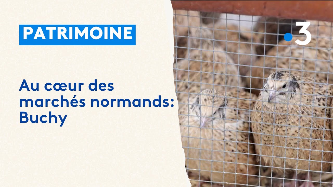 Au cœur des marchés normands : Buchy