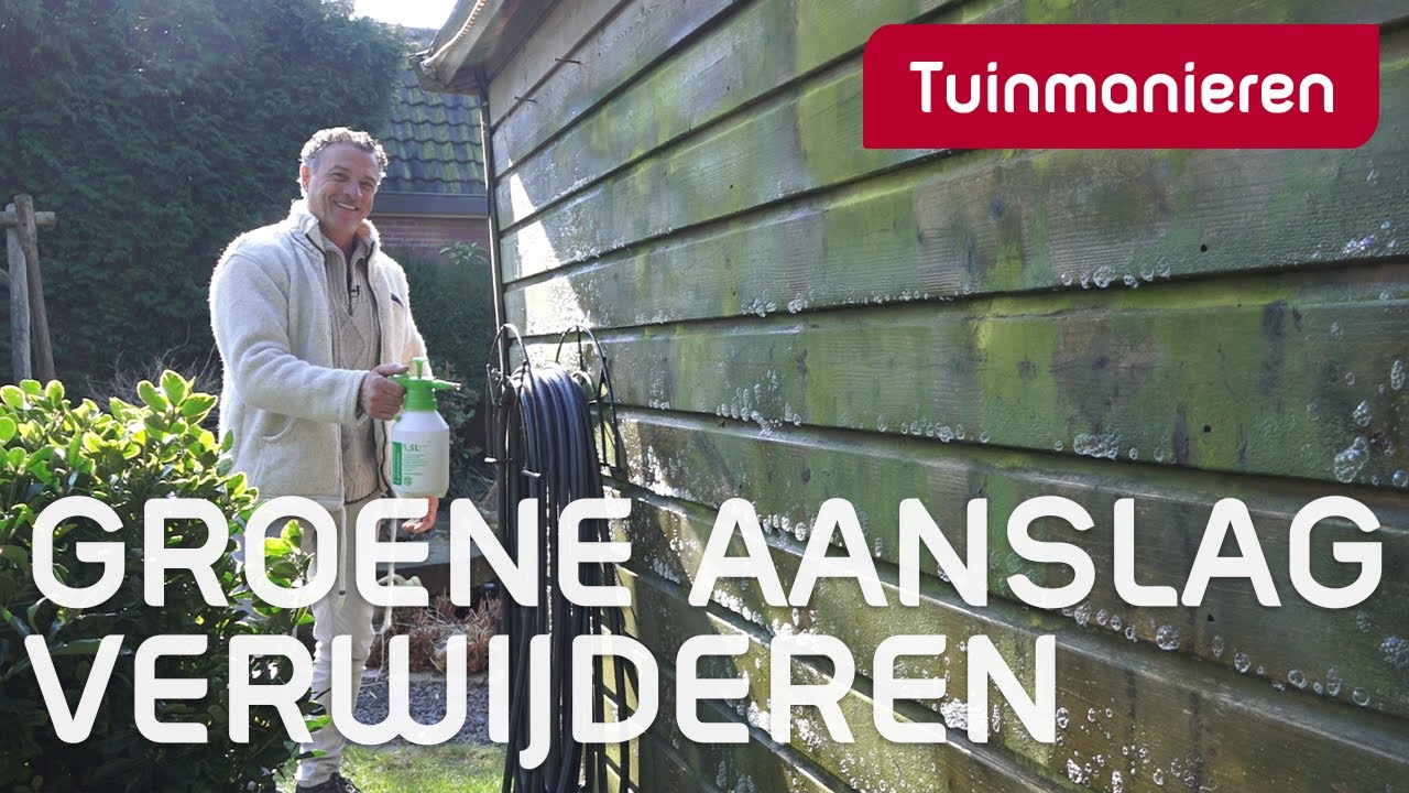 Buiten aanslag op je schutting of tuinmeubels? Hoe kom je ervan af? | Tuinmanieren