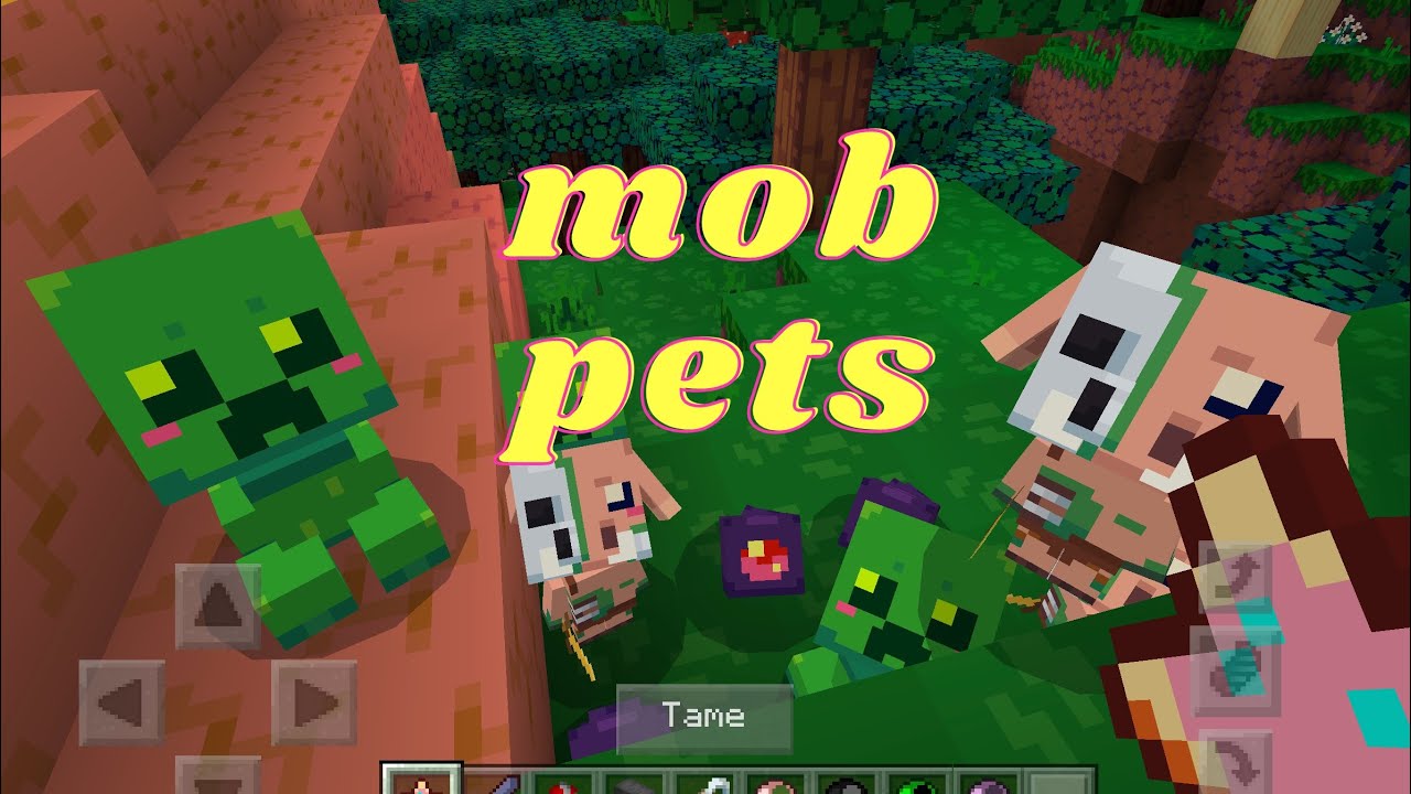Second gaming video!! Minecraft mob pets