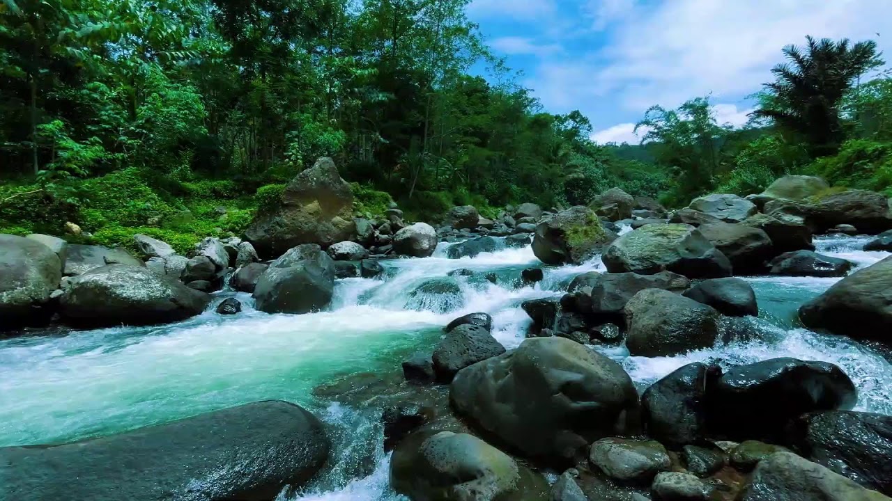 Calm Forest River Sounds for Yoga and Meditation