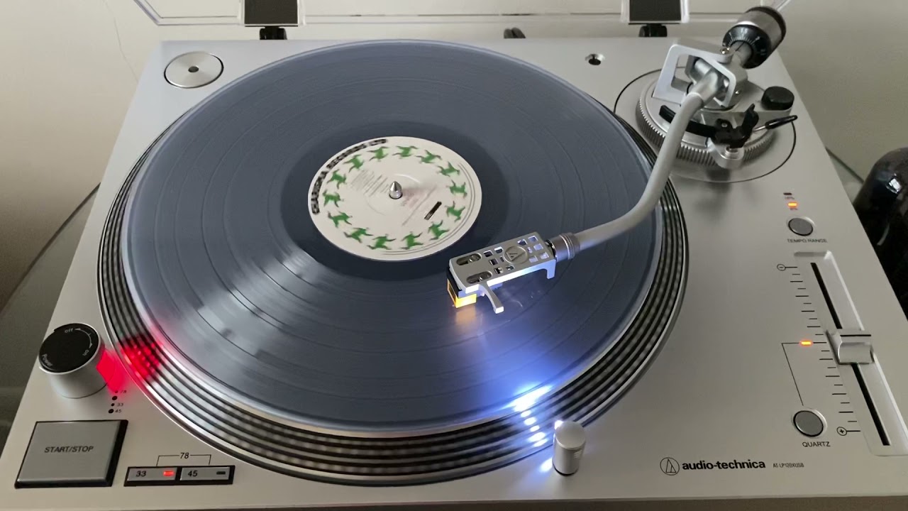 Audio-Technica LP120X Nagaoka MP-110