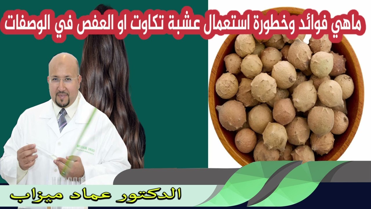 ماهي فوائد وخطورة استعمال عشبة تكاوت او العفص في الوصفات الدكتور عماد ميزاب