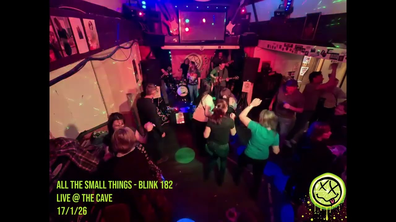 All The Small Things - Blink 182 cover by LimeWired