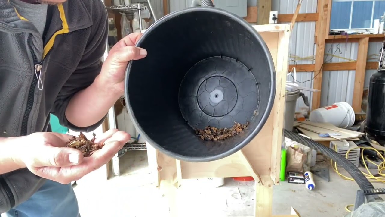 Cleaning dahlia seeds with homemade seed cleaner.