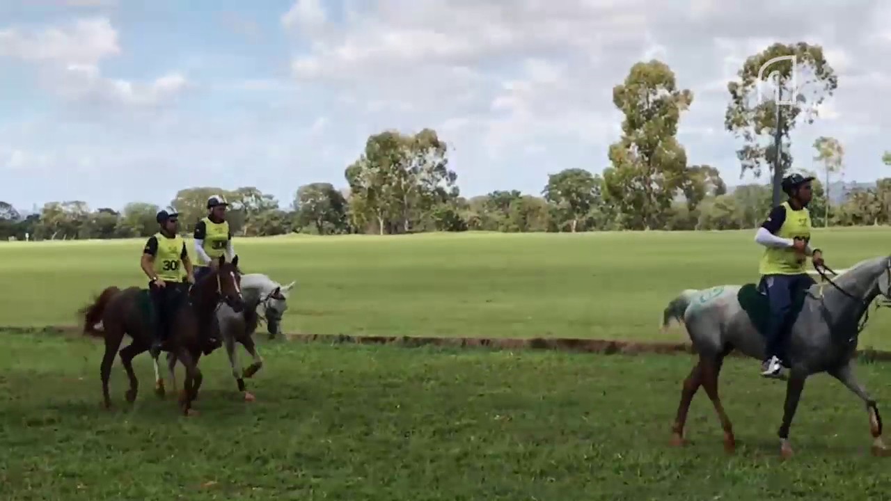 VI Etapa Chevaux Bras&iacute;lia - Teaser