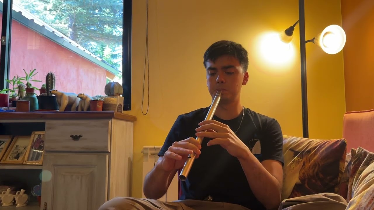 The Harp and Shamrock - Vicente Pérez