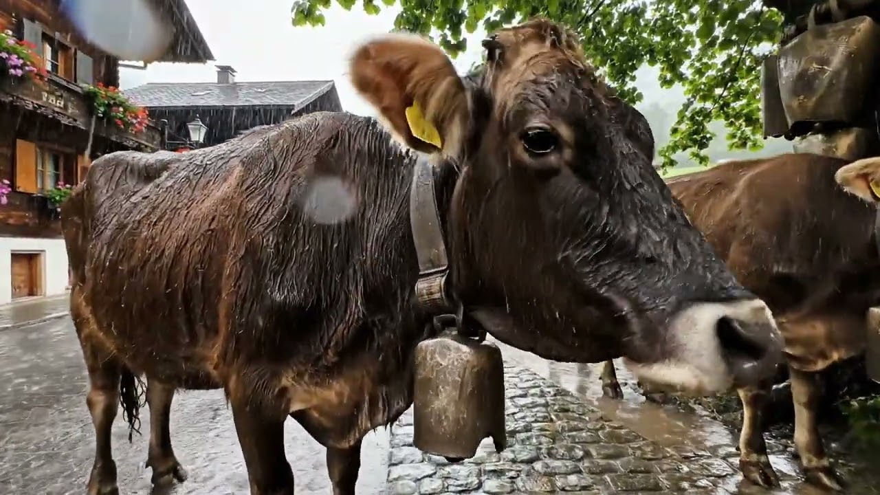 Rainy Day in Switzerland’s Most Beautiful & Soulful Villages 🇨🇭 | Relaxing 4K Walking Tour 🌧️