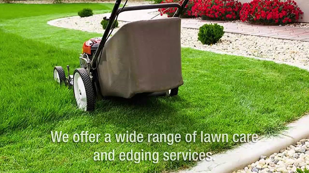 Own A Perfectly Manicured Lawn With Pleasant Green Grass