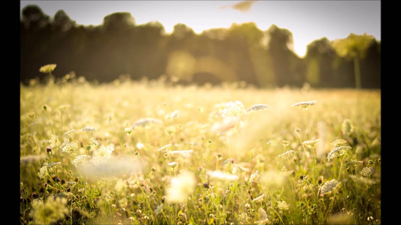 Slappna av och hitta lugn på 10 minuter