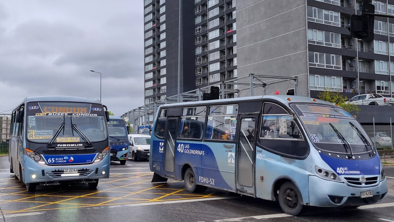 Buses urbanos de Concepción