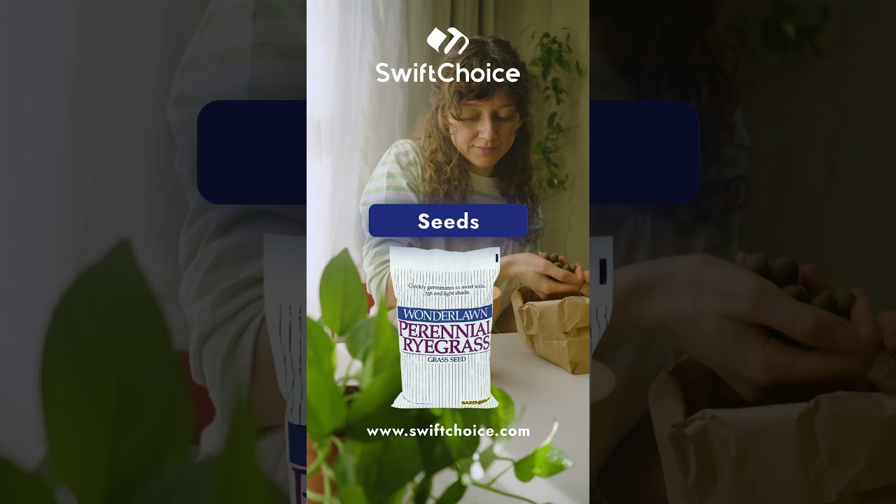 From Tiny Seeds to Big Dreams — Shop Now at Swiftchoice.com! 