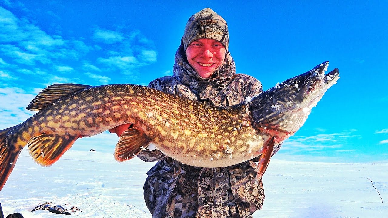ЩУКА-УБИЙЦА ПОЙМАНА!!! Я В ШОКЕ ОТ ТАКОГО КЛЁВА!!!! РЕЗУЛЬТАТИВНАЯ РЫБАЛКА  ЗАПОЛЯРЬЕ!!!!