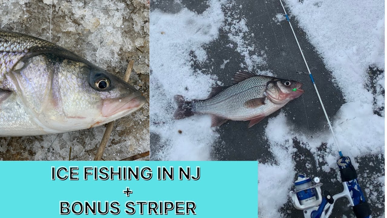 Ice Fishing in NJ + Bonus Striper