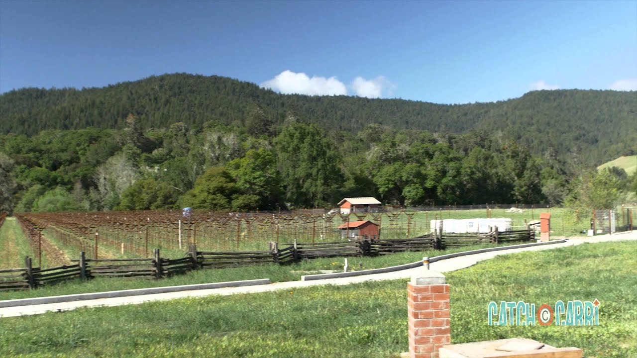 Mendocino County: Best Things To Do In Anderson Valley