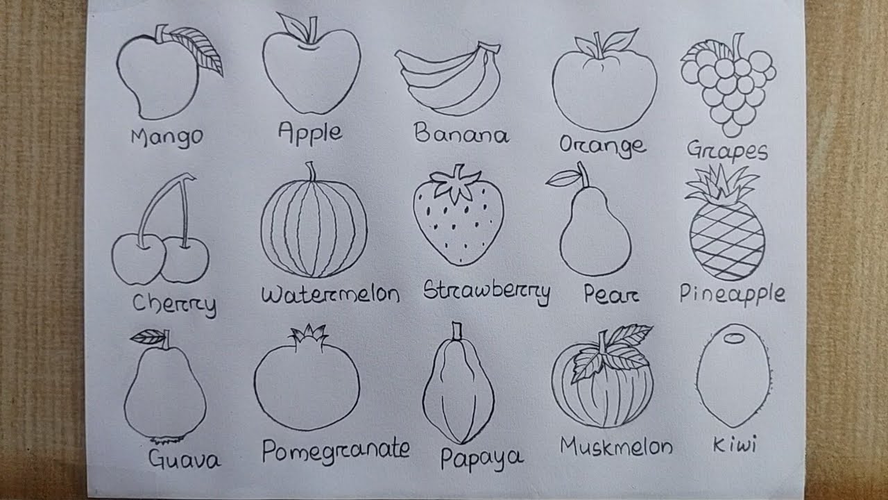 Different types of Fruits drawing| How to draw 15 Different types of Fruits| Pencil drawing easy