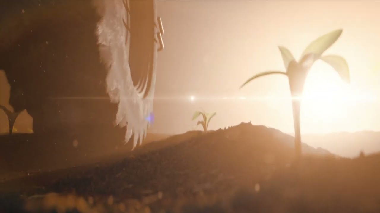 LALRISE START SC : Améliore la nutrition des plantes et l’implantation des cultures
