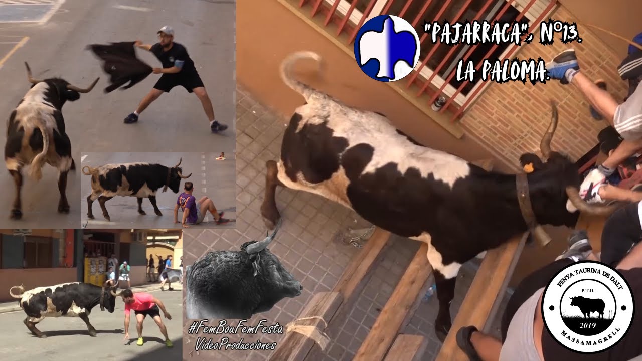 Vaca 