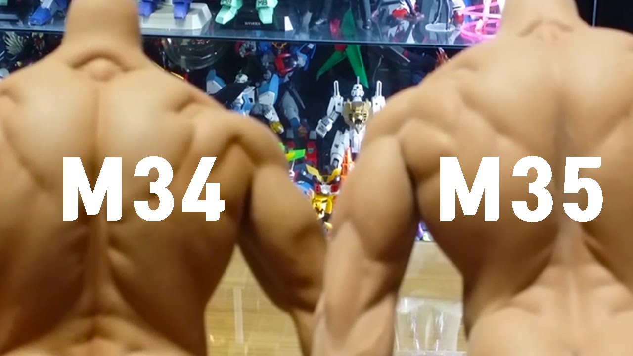피첸,티비리그의 m34와35바디의 비교분석,Phicen,TB League,M34body,m35body,TB League,Phicen M35 Seamless Body Review