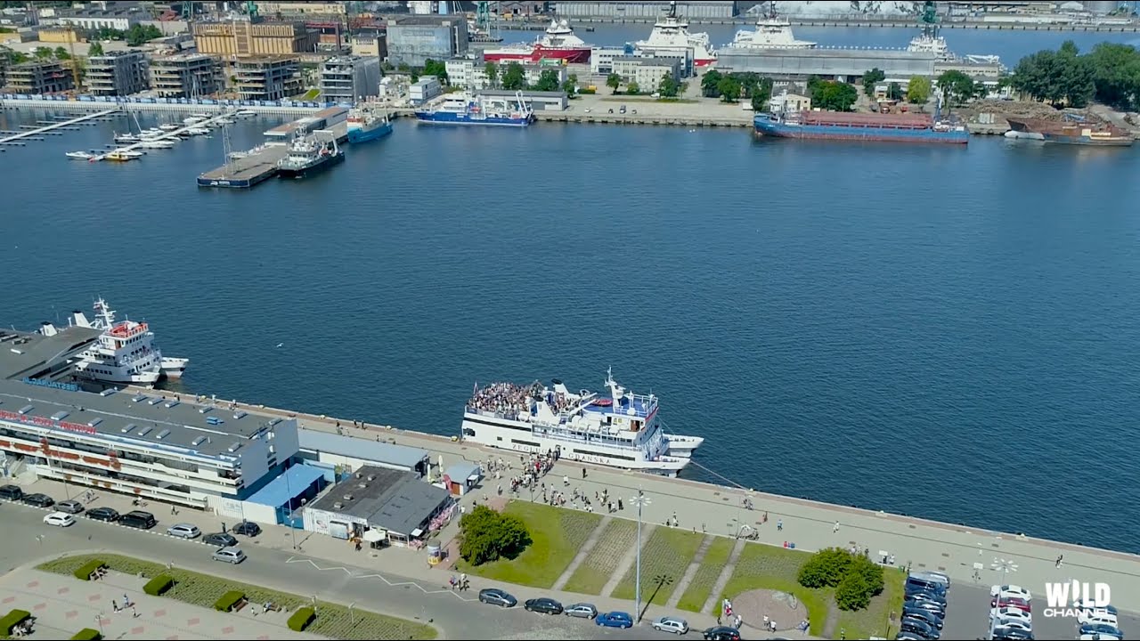 Deaf Can Dance dj set @ Big Boat Party - Gdynia [14.07.2019]