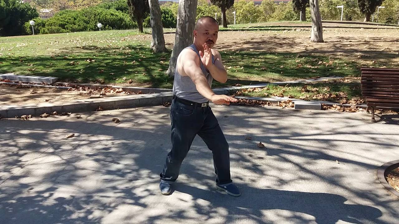 古劳偏身十二式
