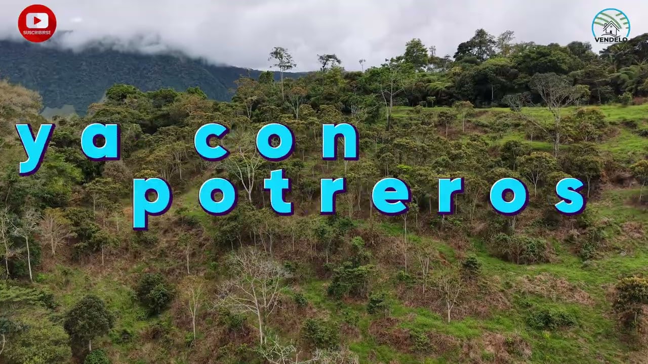 Se vende Finca de 15 hectáreas a 45 minutos de Dabeiba