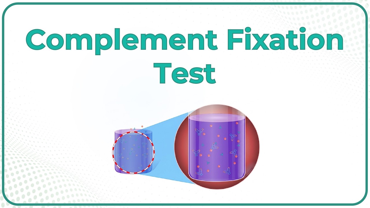 Complement Fixation test - Microbiology animations