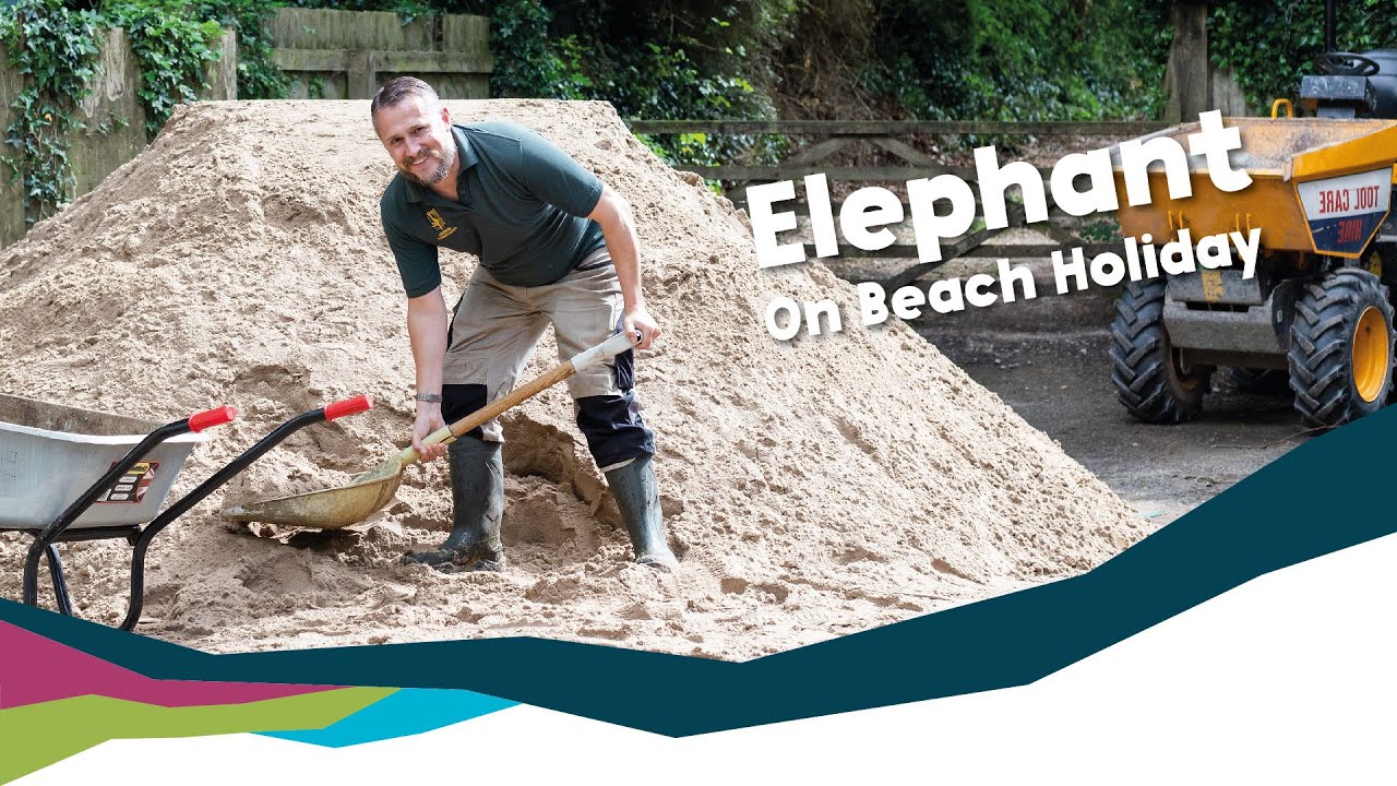 Elephant Takes Beach Holiday [Paignton Zoo]