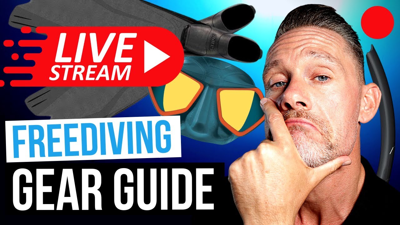Freediving Gear for Beginners | What to Buy WITHOUT Spending ALL Your Money