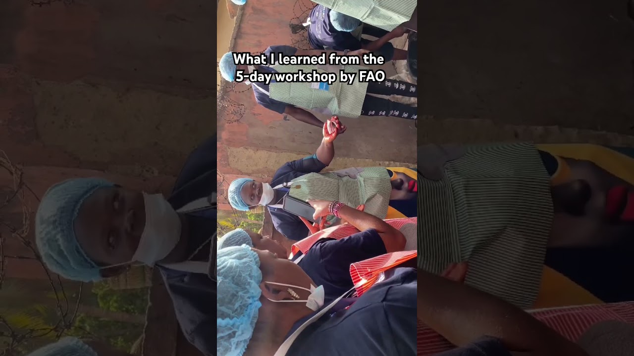 Я поделюсь всем, что узнала на семинаре ФАО. Подпишитесь, чтобы ничего не пропустить.