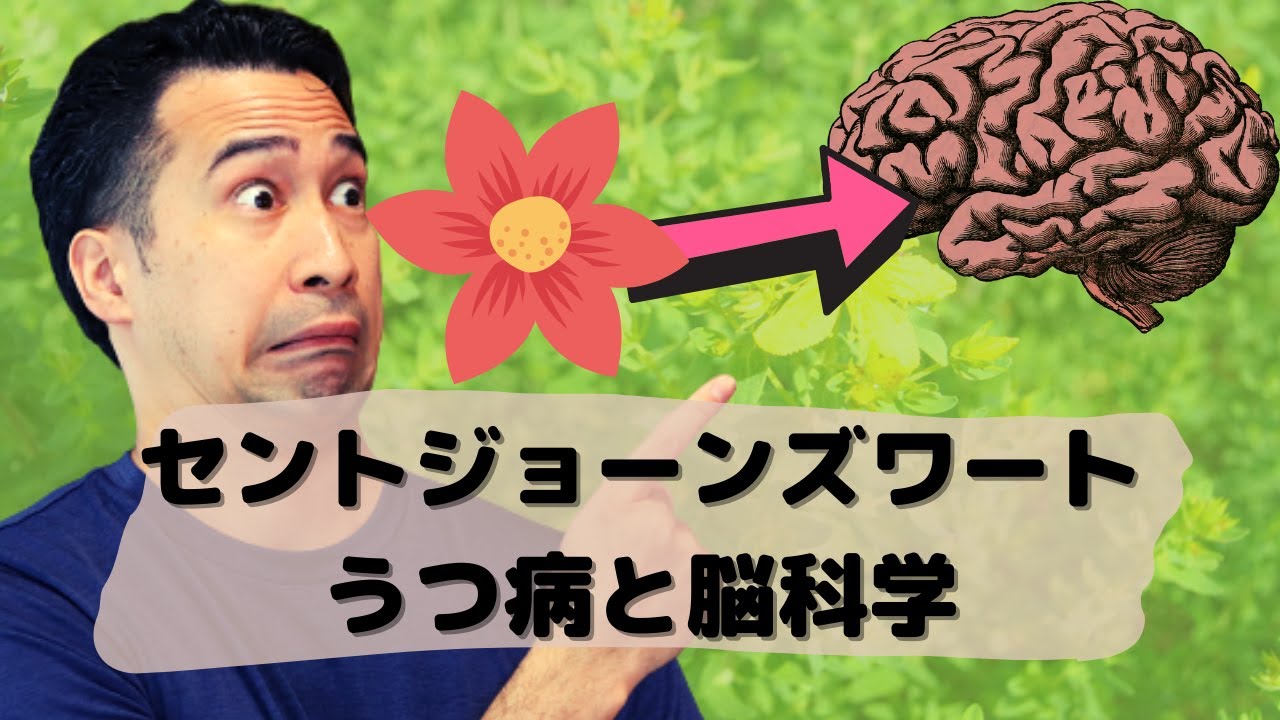 うつ病必見！セントジョーンズワートの効果と副作用を脳科学で解説