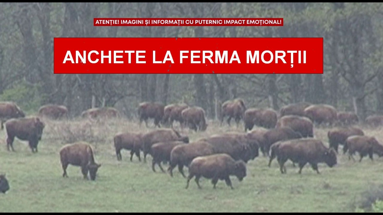 FERMA MORȚII A LUAT 10 000 000  DE LEI DE LA APIA