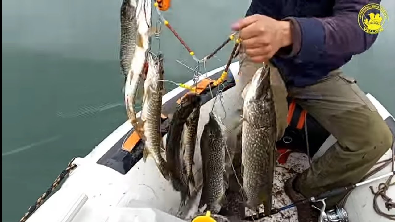Köprüköy turna avı. Yozuri coştu /İki günlük avımız.