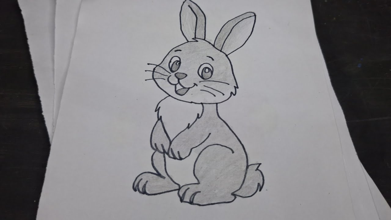  How to draw Beautiful rabbit|how to make Beautiful drawing easy and simple 