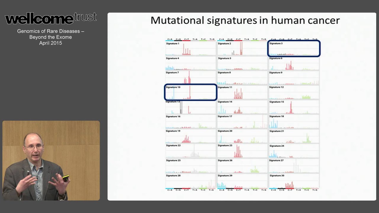 Signatures of Mutational Processes - Mike Stratton