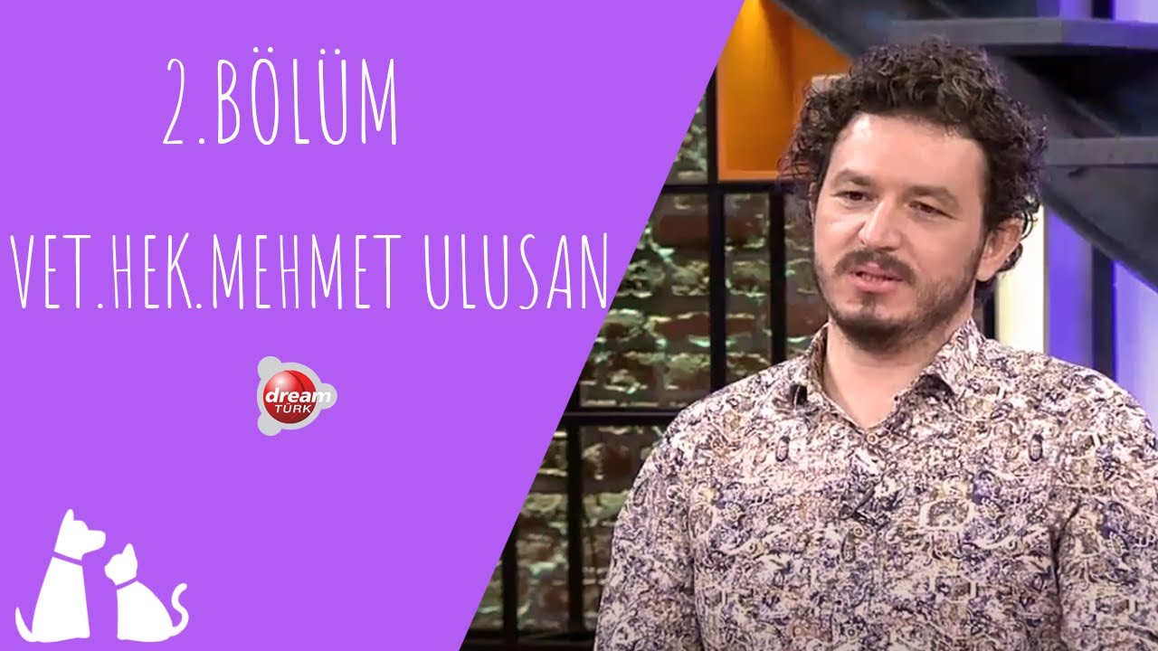 Sahiplenmenin avantajları, Evcil hayvanlarda korona görülür mü? | ÇOK YAŞA CAN DOSTUM