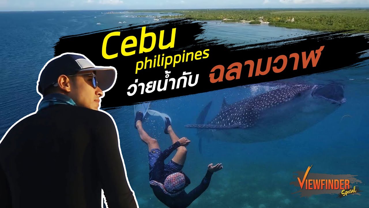 Cebu Philippines ว่ายน้ำกับฉลามวาฬ l Viewfinder Special