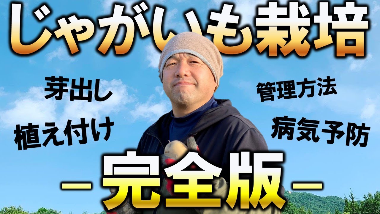 【完全版】失敗しないじゃがいも栽培～芽出しから収穫まで〜【自然農法】