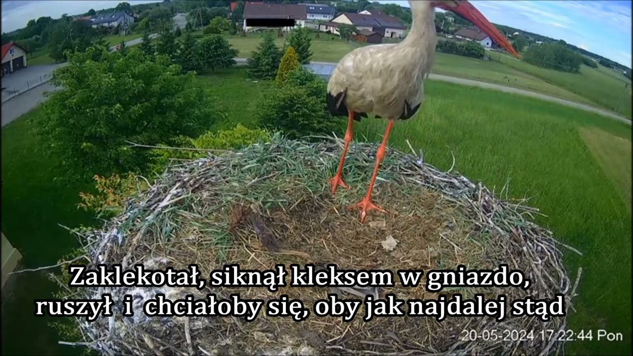 WZ 20.05. i 21.05.2024 - 