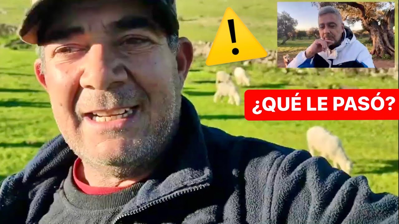 Los MASTINES de FELI MARTÍN se encuentran con un AMERICAN STANFORD ⚠️ @felimartincrespo2171