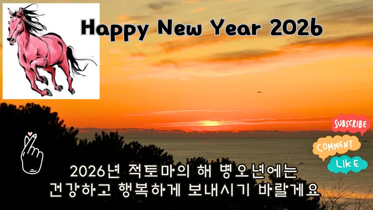 2026 병오년 적토마의 해 첫날 해맏이 ☀️ Happy New Year 2026 The First Sunrise 😍