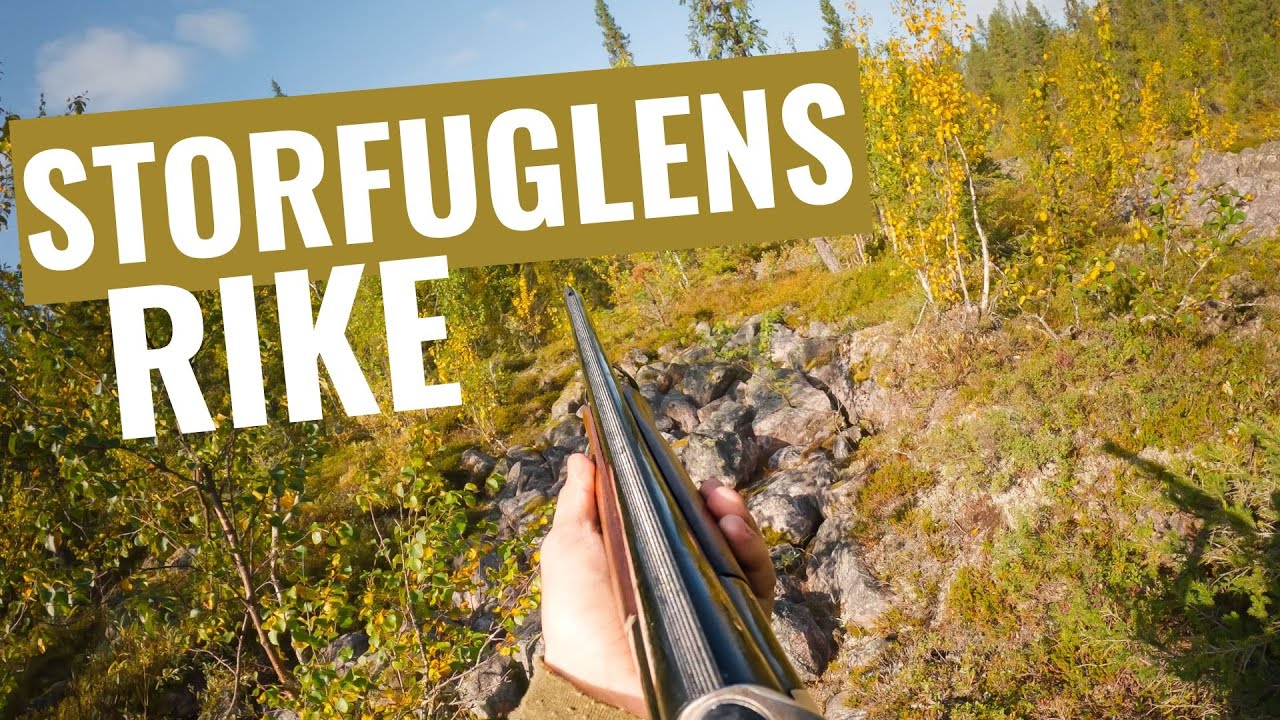Jakt i storfuglens rike (#10)