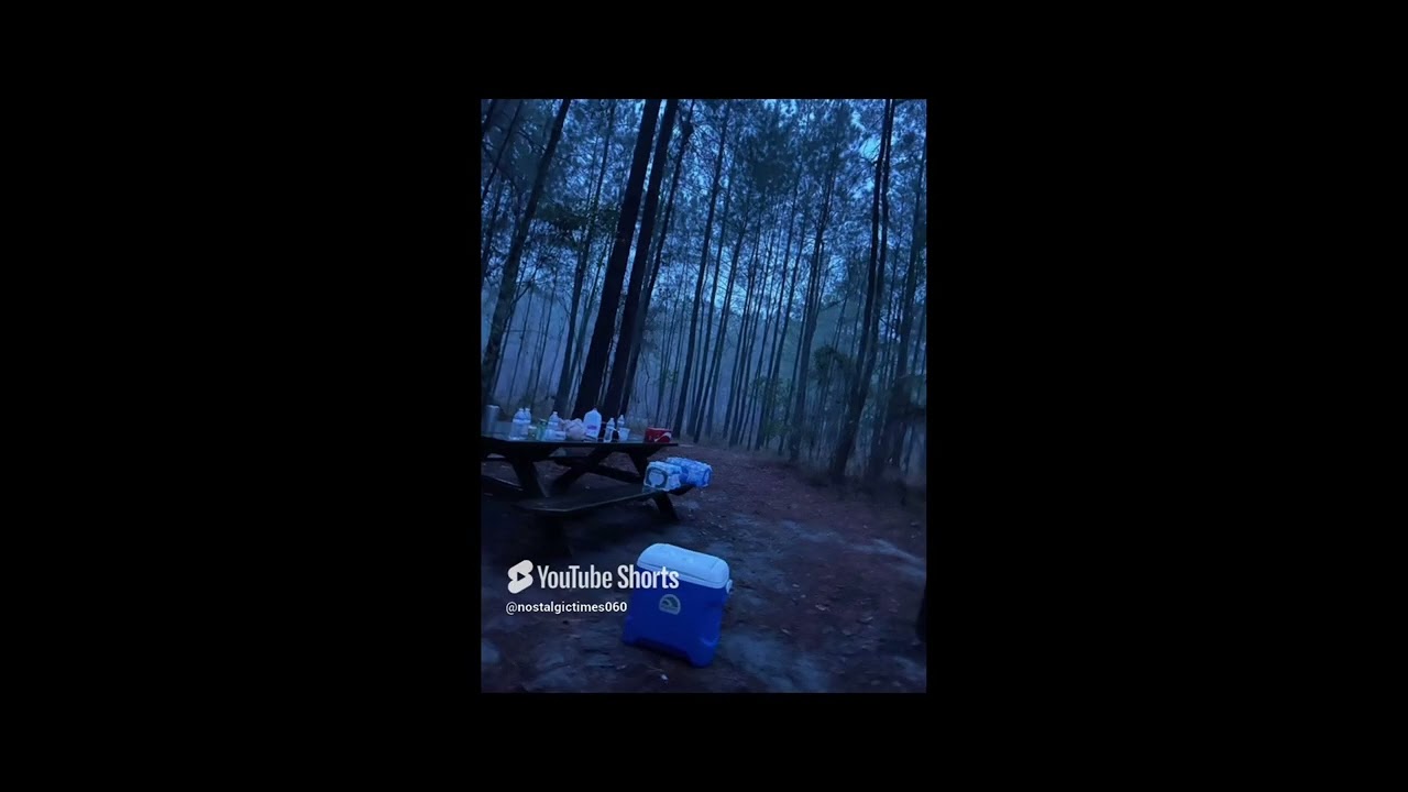 Anemoia PT 1-10 #shorts #anemoia #liminalspace #liminalspaces #backrooms #dream #dreams #dreamcore