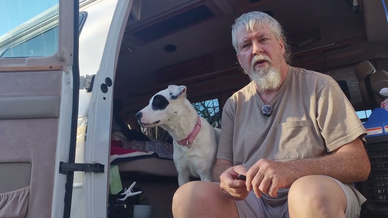 Vicki Deaf dog