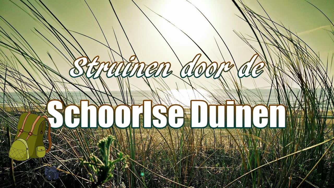 Schoorlse Duinen 4K | Nature Walking Tour Netherlands