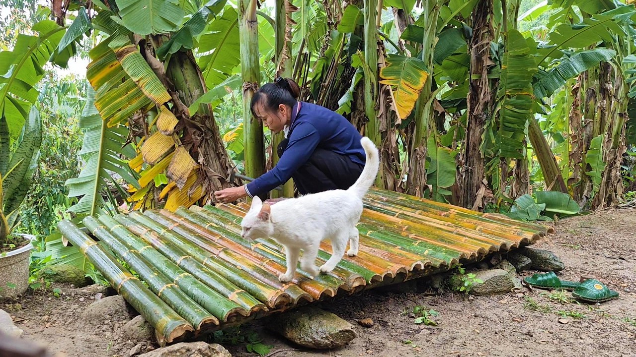 The woman who lives alone makes a water stall out of bamboo.