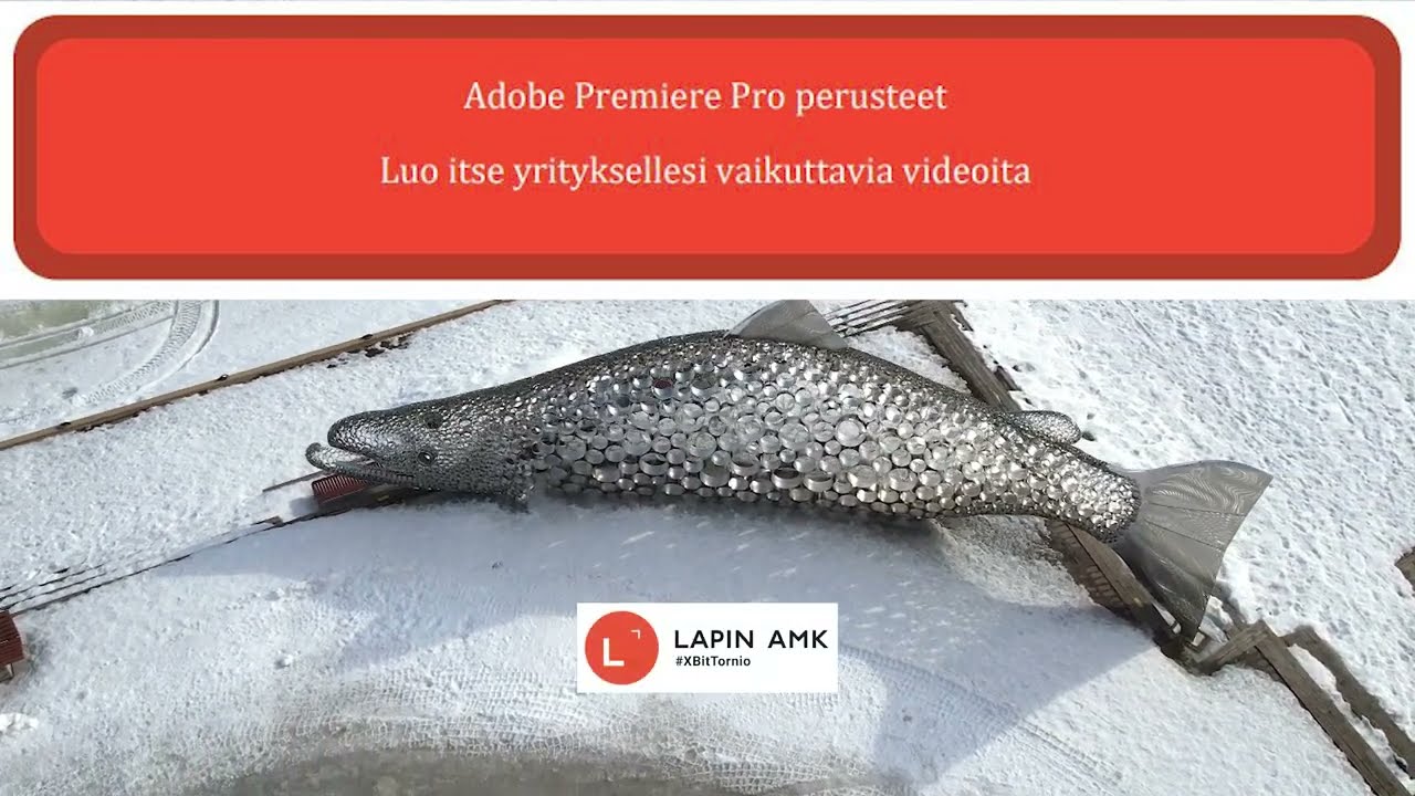 Adobe Premiere Pro perusteet - luo itse yrityksellesi vaikuttavia videoita