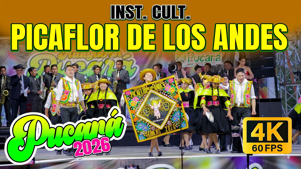 PICAFLOR DE LOS ANDES // FINAL HUAYLARSH PUCARÁ 2026