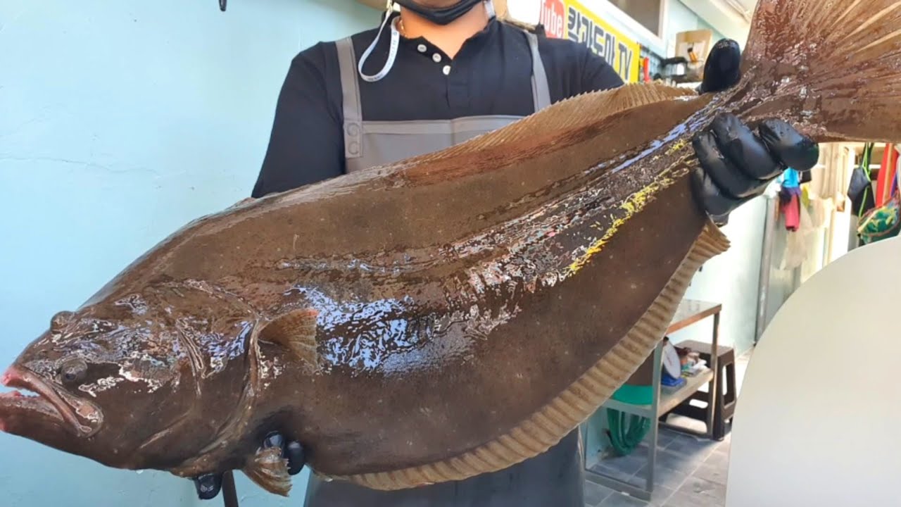 Самые вкусные сашими в мире с огромной камбалой