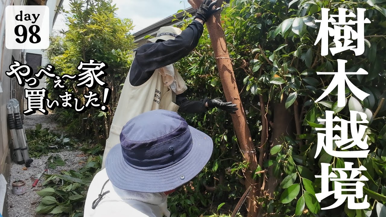 【作業98日目】DIY工具で、庭の植栽？を伐採する。越境していく植物たち。