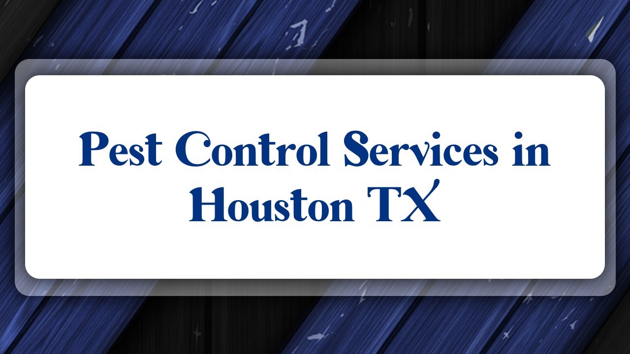 Top 10 Pest Control Services in Houston, TX